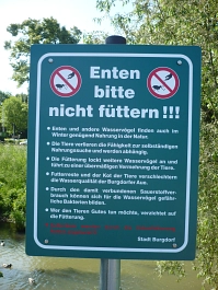 Hinweisschild am Kleinen Brückendamm Enten füttern verboten